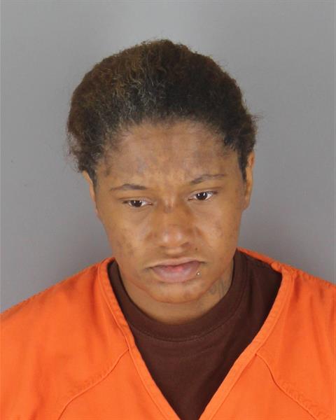 Mugshot of ERICA LOLITA BROWN