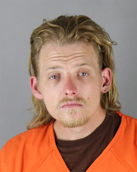 Mugshot of LOGAN RICHARD MITSCH
