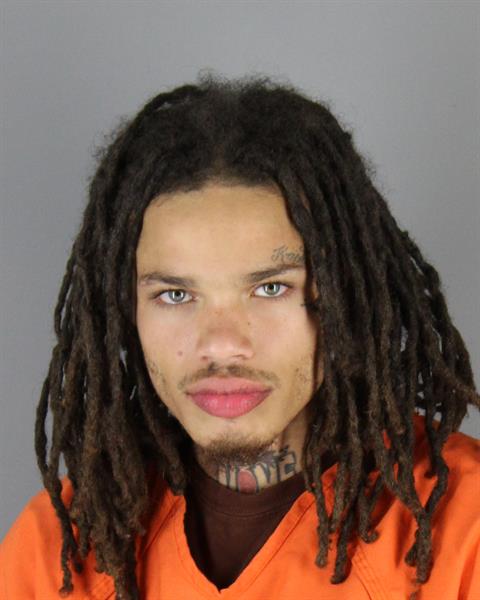 Mugshot of TREVELLE JAWON HELLGREN