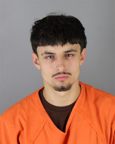 Mugshot of ADRIAN JAMES DYSART