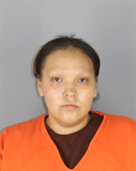 Mugshot of RACHAEL HOWARD ROBINSON
