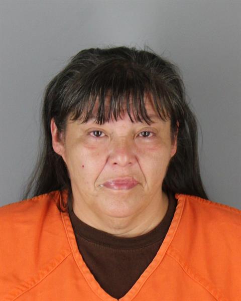 Mugshot of KERRILYNN ARPAN