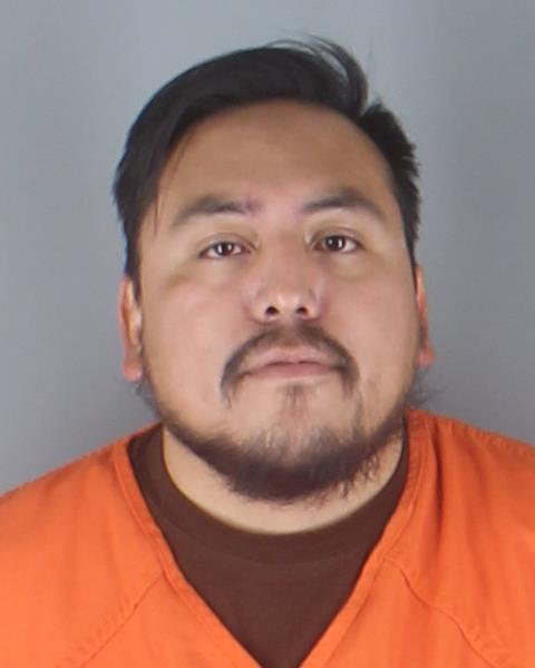 Mugshot of GREGORY LAWRENCE MEESE