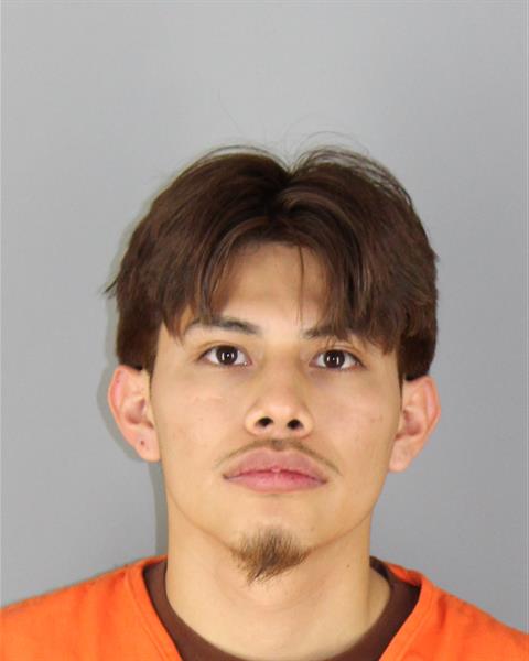 Mugshot of JOEL JR GONZALEZ