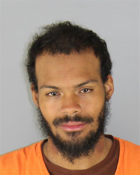 Mugshot of DARIAN SOLOMON ROSENTHAL