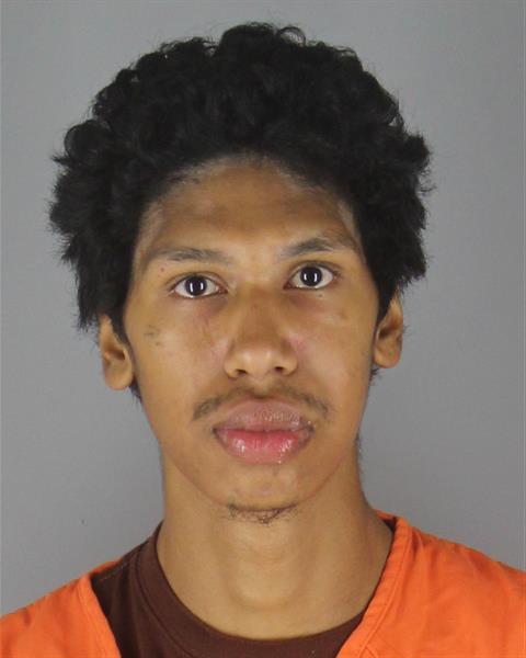 Mugshot of DURELL AMOD LIGHTFEATHER