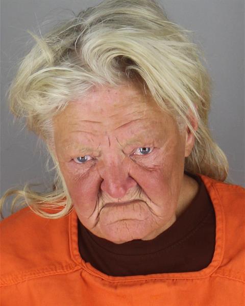 Mugshot of SUE ANNE CARROTHERS