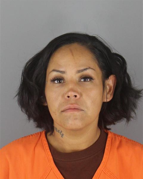 Mugshot of LESLIE ANN GOODMAN