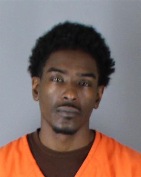 Mugshot of LAMAINE TYREE RICE