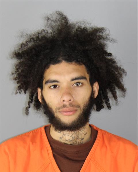 Mugshot of AVION LEE HAMER