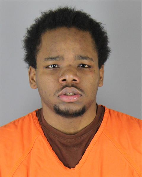 Mugshot of MICHAEL ANTHONY JR LEE