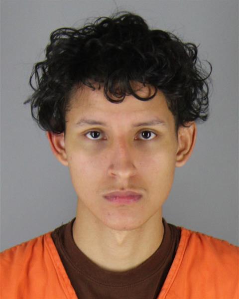 Mugshot of DONONVAN DENNY BRITO