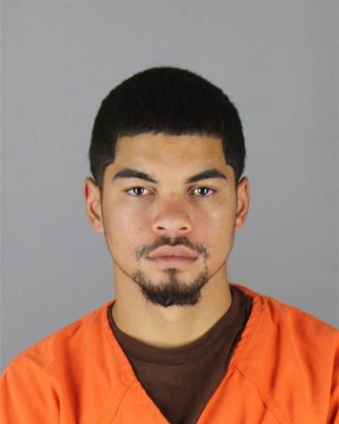 Mugshot of WILFREDO FREDRICK RIVERA