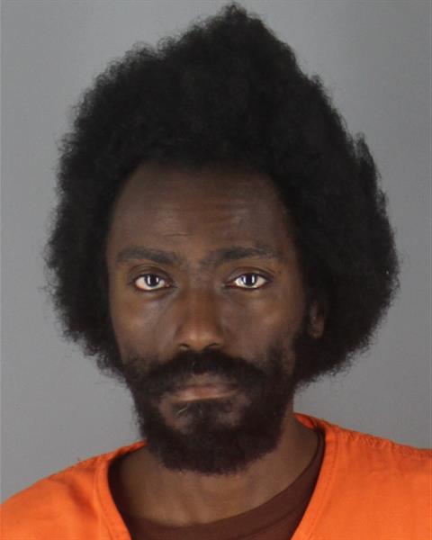 Mugshot of TSELOTE HAIMANOT ABEBE