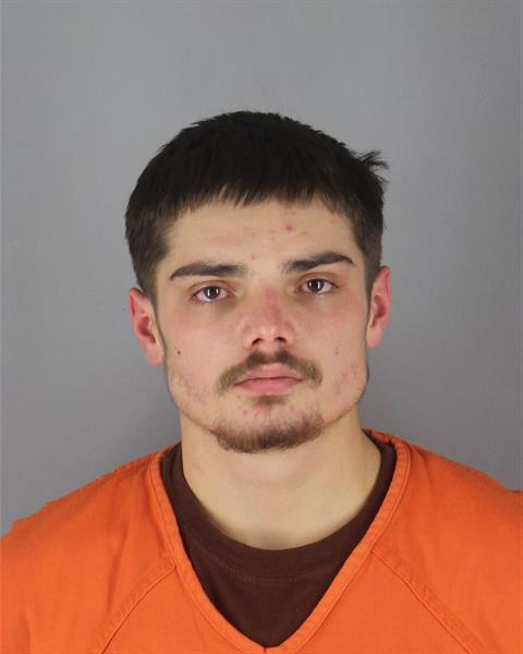 Mugshot of ANTHONY JAMES GUSTAFSON