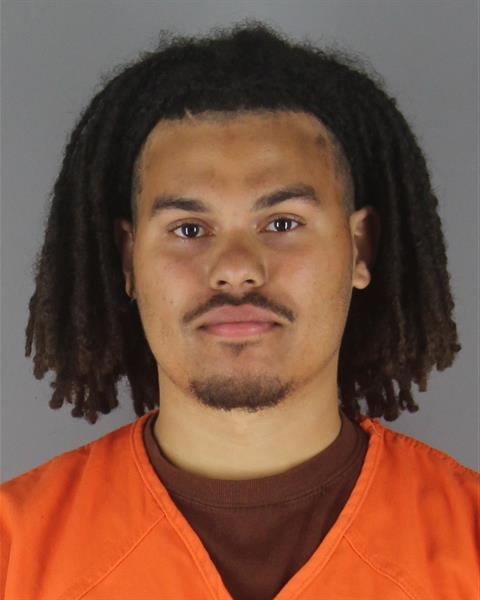 Mugshot of BRANDON ERNEST WITTING
