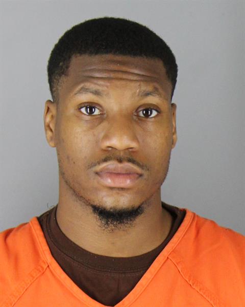 Mugshot of DEMURE REALITY LARKINS