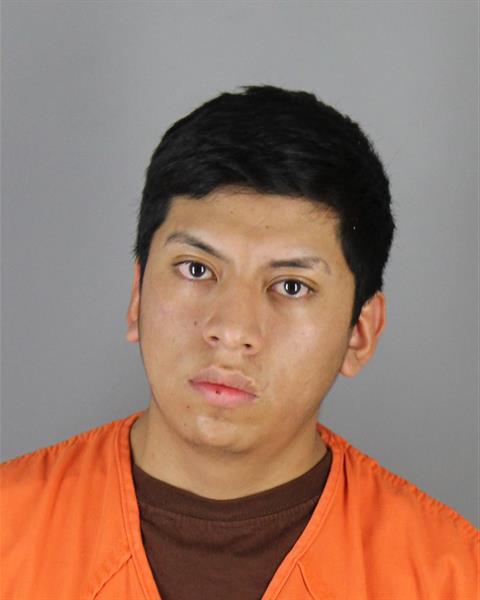 Mugshot of MARLON CHILUISA