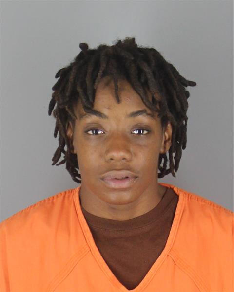 Mugshot of DANIELLE LAVETTE WILLIAMS