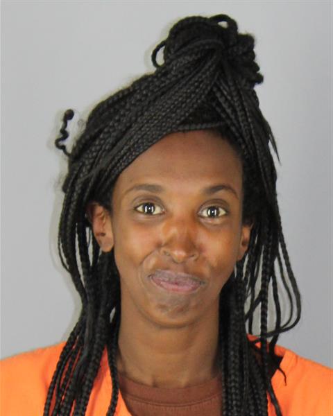 Mugshot of NAJMO ABDINASIR FARAH
