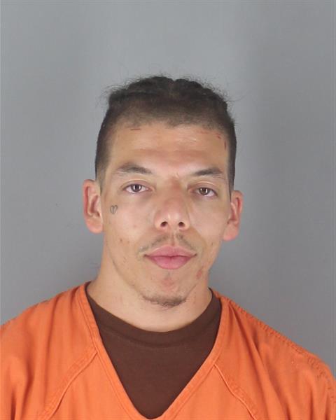 Mugshot of MICHAEL FRANK PAPASODORA