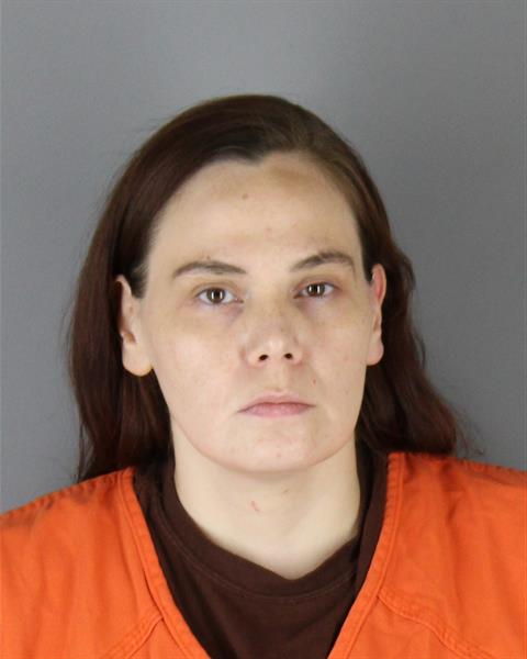 Mugshot of LAURA ANN LARSON
