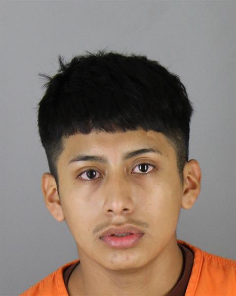Mugshot of ANDERSON SANGUCHO