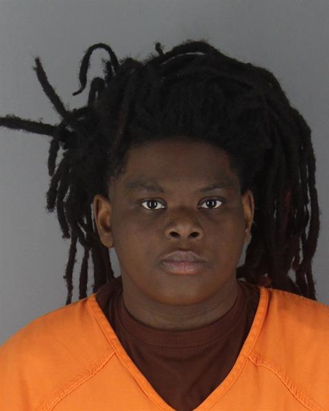 Mugshot of ANNALEE MAYS