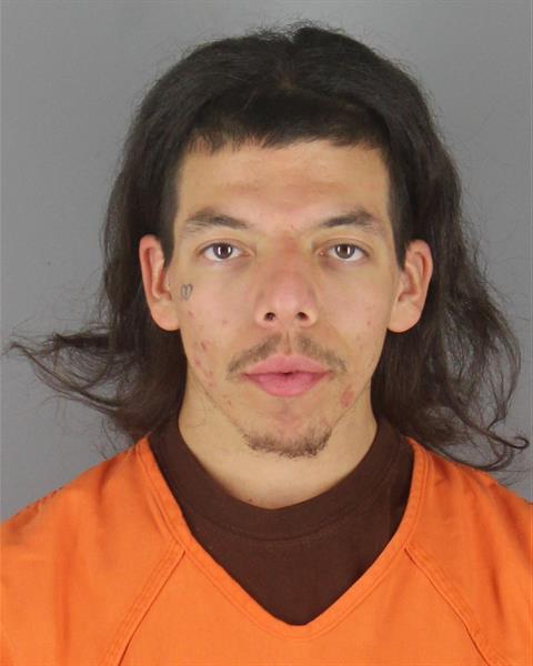 Mugshot of MICHAEL FRANK PAPASODORA