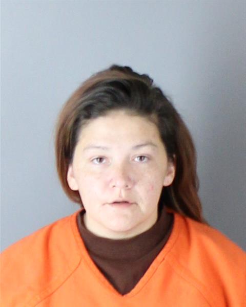Mugshot of DIONNA JORDAN DICKINSON