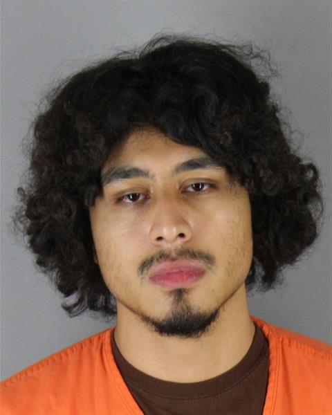 Mugshot of RYAN CESAR ARIAS ORNELAS