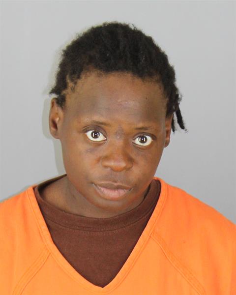 Mugshot of TEMEKA MICHELLE NICHOLS