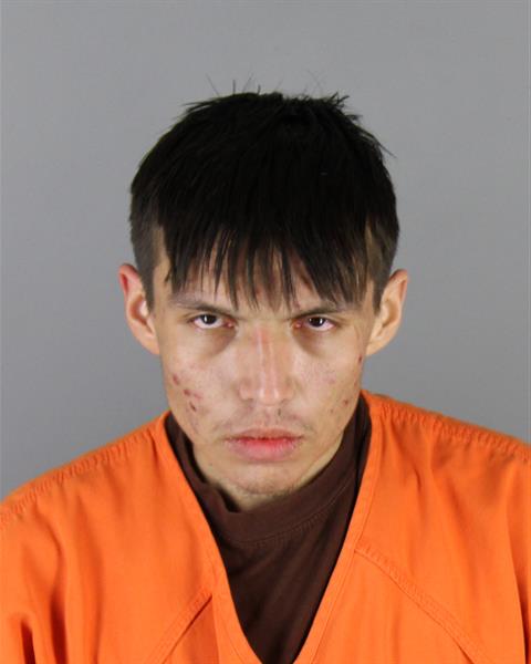 Mugshot of DEZMYN KOREE SAYERS