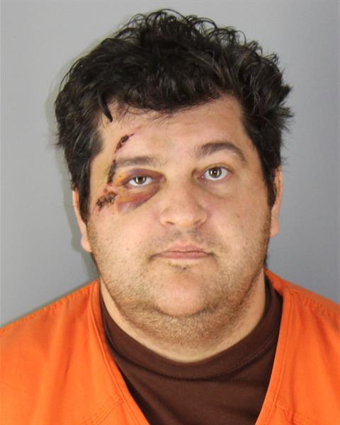 Mugshot of ROSS KENNETH HOLMBERG