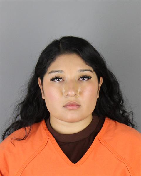 Mugshot of GENESIS BELEN ANAYA GONZALEZ