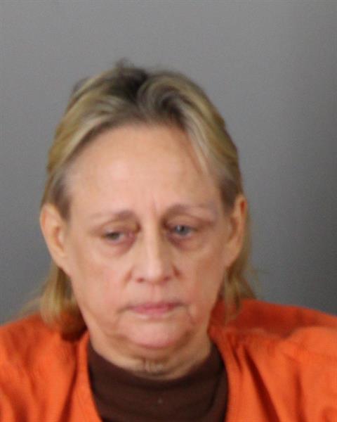 Mugshot of DONNETT LYNN BARNA