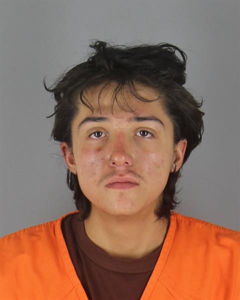 Mugshot of MICHAEL JOSEPH JOHNS