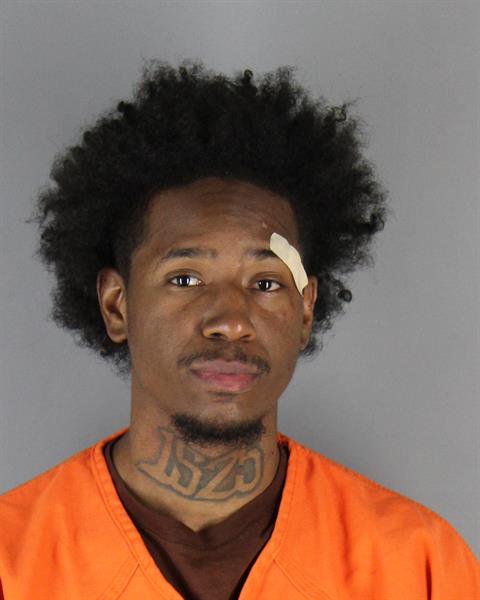 Mugshot of BRANDON ALEXANDER DOMINO