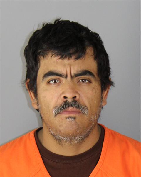 Mugshot of DELFINO MARTINEZ SILVA
