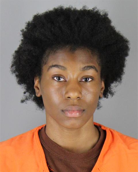 Mugshot of HARMONEE MARIE JENKINS