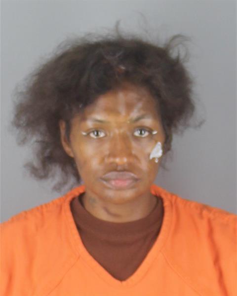 Mugshot of DESIREE KARA OWENS