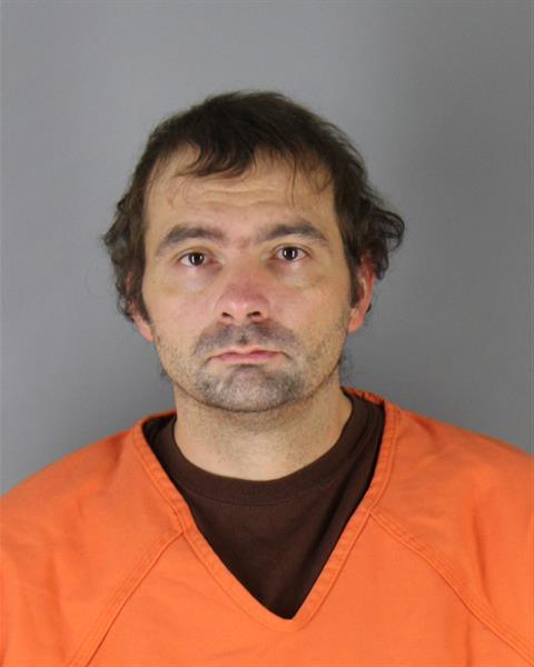 Mugshot of STEVEN JOSEPH WALLIN