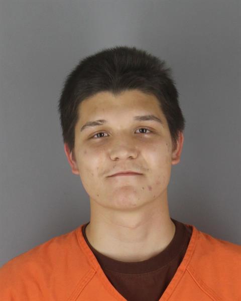 Mugshot of ELVIS SEAN MELTON