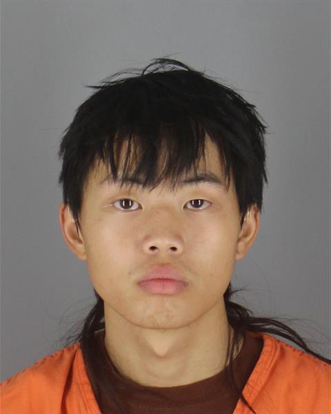 Mugshot of VINCENT VAMENG CHA