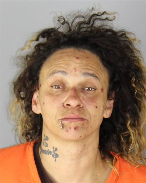 Mugshot of TRINA ANN LEWIS