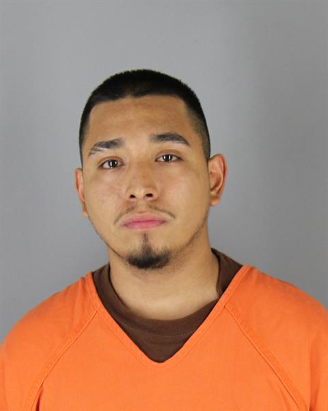 Mugshot of DAVID IGNACIO ESTRADA CARRILLO