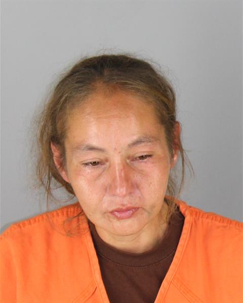 Mugshot of DEBBIE JANE PAPISH