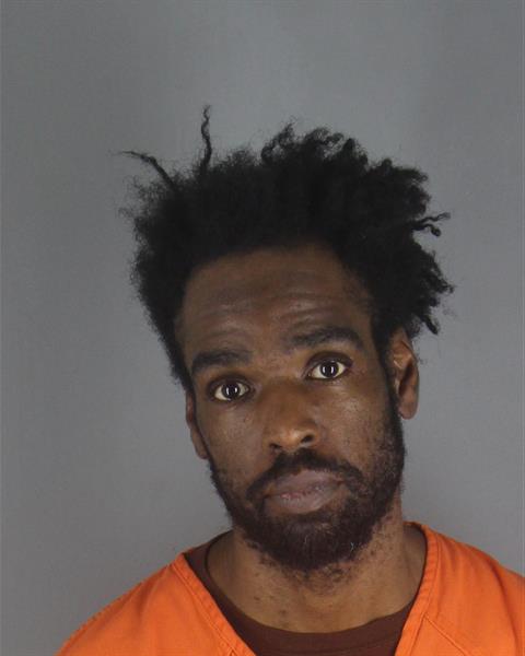 Mugshot of NEXUS DESAI TURNER