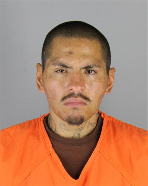 Mugshot of GIORGIO RICARDO STILLDAY