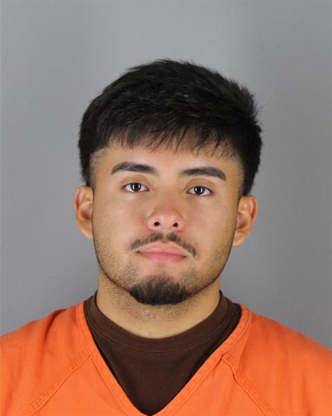 Mugshot of DENNIS ROBERTO ORTEGA GONZALEZ